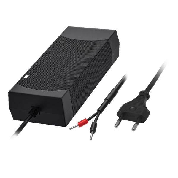 Teltonika EU 2 pin Power Supply